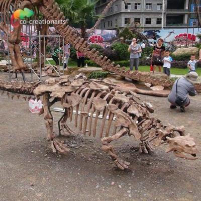 China Park Decoration Dinosaur Skeleton Replica Life Size Sunproof for sale