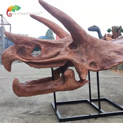China Jurassic World Replica Triceratops Skeleton Sunproof For Museum for sale