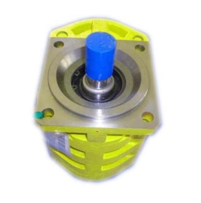 China XCMG 500fn lw500kn zl50g zl30g XCMG XCMG 500fn lw500kn zl50g zl30g wheel loader spare parts hydraulic gear pump for sale