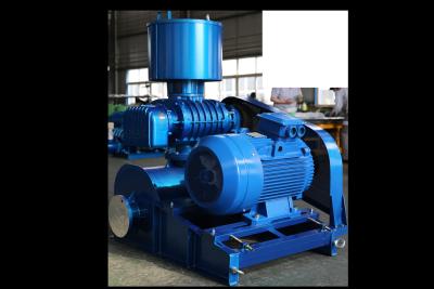 China Customizable Roots Blower for Enhanced Productivity and Energy Savings in Manufacturing Operations for sale