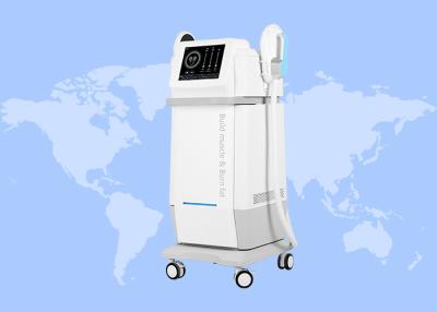 Chine 6 dans 1 massage facial multifonctionnel de l'oxygène blanchissant la machine HO305 de beauté de soins de la peau à vendre