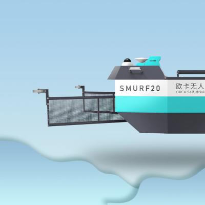 Chine Enquête hydrographique intelligente de remplissage USV de bateau téléguidé d'enquête d'individu à vendre