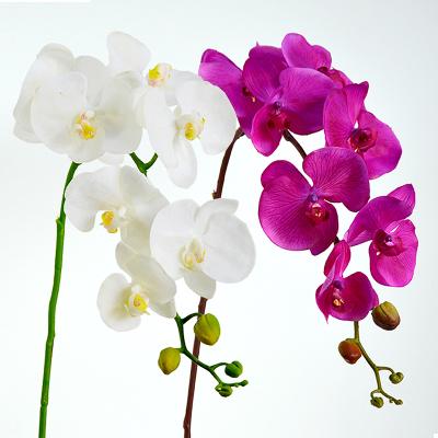 China 60cm Butterfly Orchid Artificial Flowers Flower Head Party Home Decor Wedding Decoration Props for sale