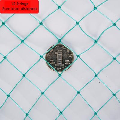China Durable Trinog 12 Twine Greenhouse Cover Weave 2cm Knot Net Distance Anti Bird Polyester Netting For Farm And Garden for sale