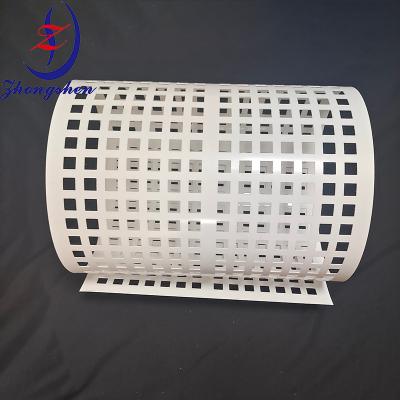Chine Solution de collecte d'œufs efficace à bande d'œufs perforée durable à vendre
