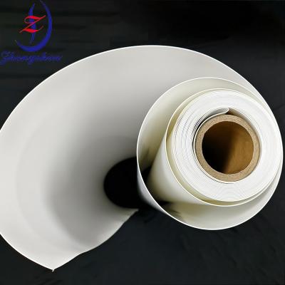 China Premium Quality Manure Transfer Belts for Poultry Farm Types for sale