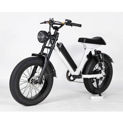 China Fat Tire 48v500w 15AH 20 Inch Steel Electric Bike Fat Bike 7 Speed Electric Balance Mountain Bike Mountain Bike with for sale