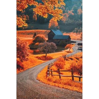 China Round or Square Kits Diamond Embroidery Round or Square Kits Diamond Embroidery Home Gift Diamond Painting Autumn Road Modern Landscape Full for sale