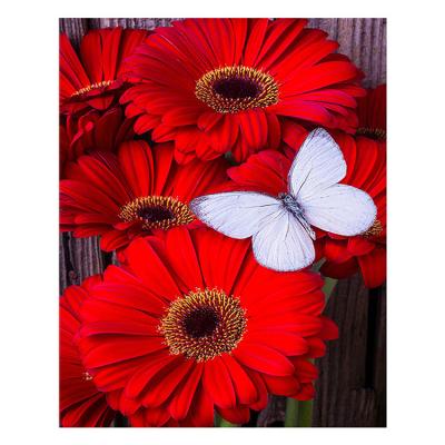 China Modern Red Flowers and Butterfly Round or Square Diamond Embroidery Kits Full Drill Home Decoration DIY Gift Diamond Painting for sale