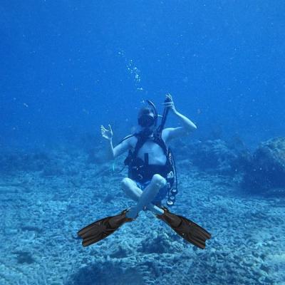 China Freediving Long Blade Fins Swimming Training Snorkel Fins Diving Fins High Quality Durable Carbon Fiber for sale