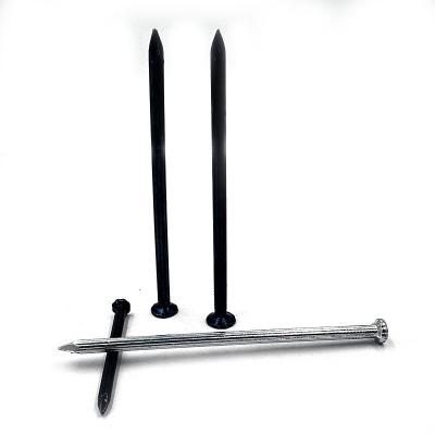 China Flat steel concrete nails high quality good price China manufacturer factory for sale