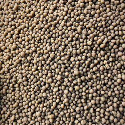 Cina Fertilizzante di Dap della mappa del fertilizzante del fosfato 85 di acido fosforico per le piante NPK 12-61-0 in vendita