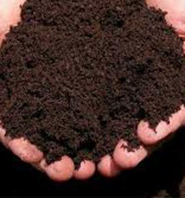 Cina fertilizzante fogliare organico solubile in acqua naturale di 100% per granulare nero di acido umico dei pomodori in vendita