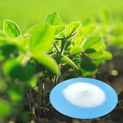 Cina Fertilizzante agricolo 2,109 G/Cm3 del nitrato di potassio di Dott. Aid Kno 3 per le piante di riso del giardino in vendita