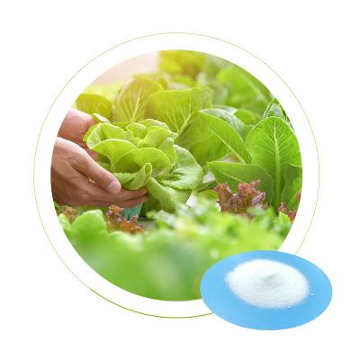 Cina 7757-79-1 fertilizzante del nitrato di potassio per il fertilizzante solubile minimo Kno3 di crescita di pianta 99% in vendita