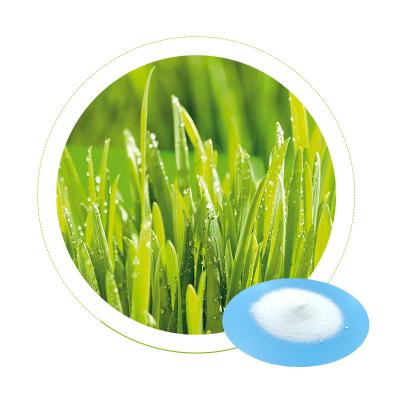 Cina 99,6% fertilizzante organico 7757 del nitrato di potassio del raccolto di pianta Kno3 79 1 in vendita