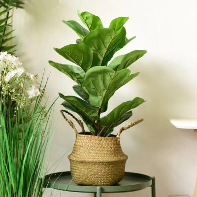 China Met de hand gemaakte Geweven Seagrass de Bloemmand van de Buikmand met Handvatten voor Decoratie Te koop