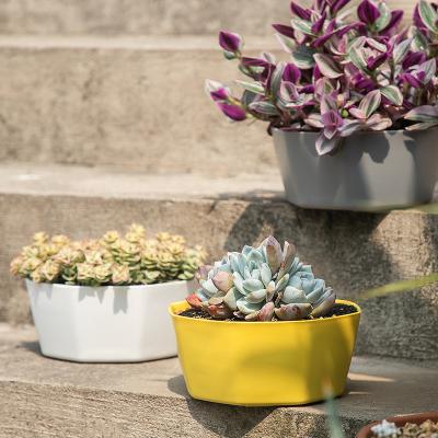 China De Potten Binnen Openlucht van de grote Diameter Onregelmatige Plastic Bloem met Openingsgaten Te koop