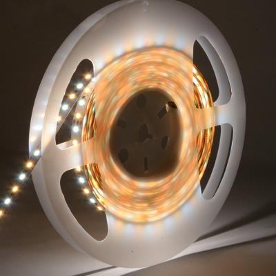 China Residential H617C 24V SMD 5050 LED smart light strip kits for sale