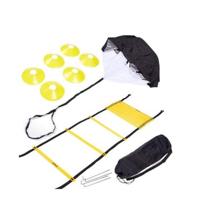 China Sports Playing Wholesale Customized Sports Football Speed Training Gym Agility Ladder for sale