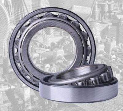 China CE Single Row Cylindrical Roller Bearings Carbon Steel With P6 Precision Level for sale