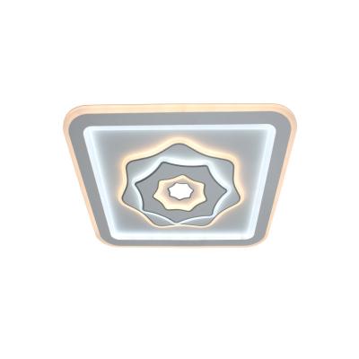 China Surface Mounted Dimming and Color Dimming Living Room Bedroom Lamp Modern Remote Control LED Ceiling Mix Simple Lamp for sale