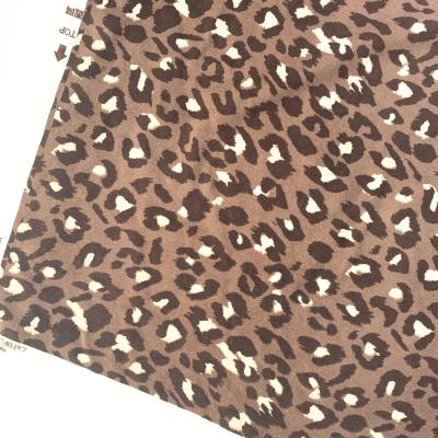 China Dty Memory Polyester Single Jersey 100% Fast Delivery One Side Brush Print Knitting Fabric for sale