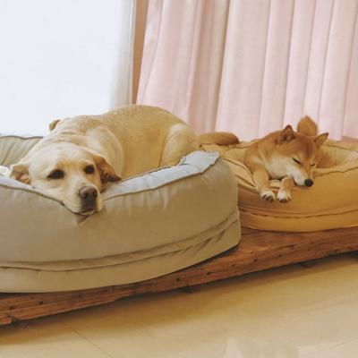 China High End Travel Pet Bed Luxury Dog Bed With Super Soft Fabric Cat Bed With Removable Cover for sale