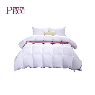 China 100% Polyester China Manufacturer Soft Wholesale Luxury Comforters Moderate Price for sale
