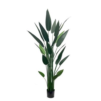 China China Wholesale Artificial Bird Of Paradise Sky Artificial Green Bird Potted Trees Factory for sale