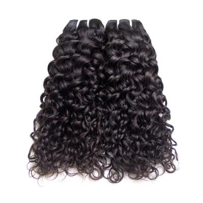China 100% Cuticle Aligned Hair Bundles Raw Burmese Kinky Curly Back Wave Hair Remy Human Hair Bundles Good Full Curly Curly for sale