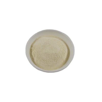 China Dry Garlic Powder Dehydrated AD Yellow Garlic Powder Ginger Spice Powder for sale