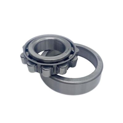 China Construction works WSRY High Speed Roller Bearings N1004 N1005 N1006 N1007 N1008 High Quality Cylindrical Roller Bearings for sale