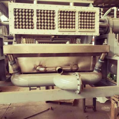 China Full Automatic Paper Egg Tray Machine Paper Fruit Apple Plate Dish Making Machine for sale