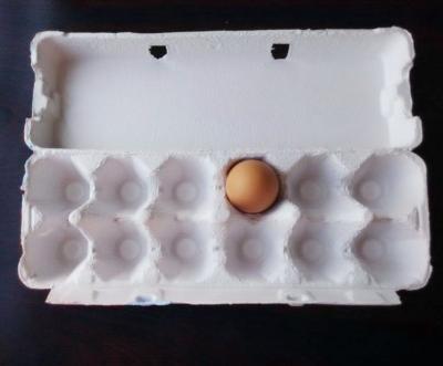 China Da polpa pequena da papelada da boa qualidade bandeja moldando do ovo que faz o preço da máquina à venda