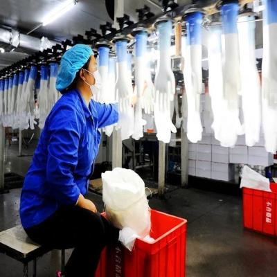 Cina Guanto eliminabile del PE che rende a macchine il video tecnico di formazione di vendite di Siemens delle parti del pezzo di potere della CINA del servo motore del computer in vendita