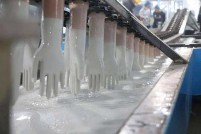 Chine Chaîne de production de gant de latex entretien du matériel et réparation médicaux jetables de gant à vendre