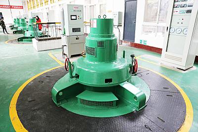 中国 カスタマイズされた カラーステンレスステール カップラン 水力タービン発電機 100kw-20MW 販売のため