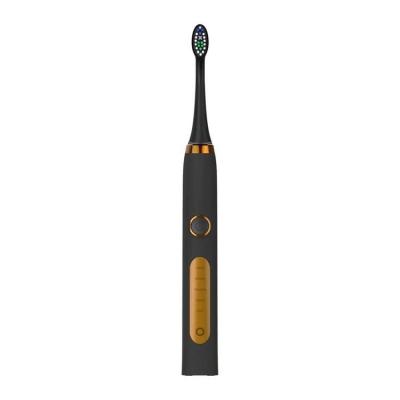 China Cheap Bulk Sonic Electric Toothbrush Waterproof Designing T1 Inductive and T1 Rechargeable Filling for sale