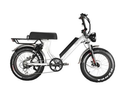 China Fat Tire 500W 750W 1000W Vintage Design 20 Aluminum Alloy Retro Motor High Speed Suspension Electric Bike for sale