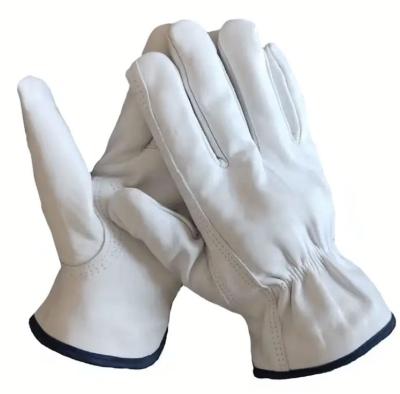 China Soft Goatskin Grain Leather Driving PPE Safety Gloves for Construction Industrial for sale