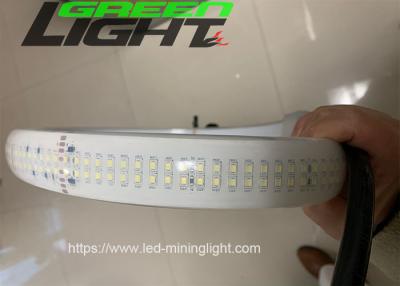 Κίνα ελαφρύς διπλός υπόλοιπος κόσμος DC36V SMD5050 30W/M λουρίδων 2230lum/m οδηγημένος σιλικόνη προς πώληση