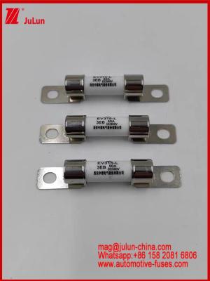 China High Temperature Resistant 50A EV315-L 3EB Fuse DC500V Ceramic Rated V EV Charger for Electric Car Bolted M6 Construction for sale