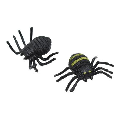 China Insect Model Toys Wholesale Natural Animal Educational Cognitive Insect Spider Model Model Toys for sale