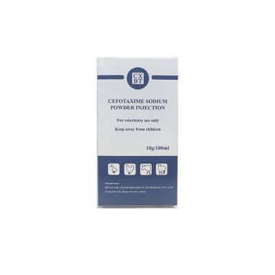 China 3 Years Shelf Life Veterinary Injectable Drugs In White Powder Form For Animal Health Maintenance for sale