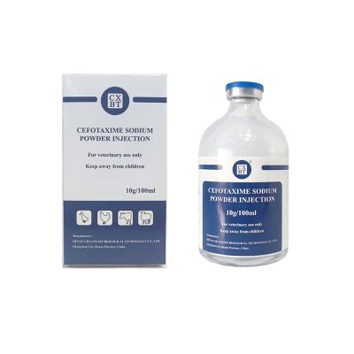 China Fast And Effective Solution Veterinary Cefotaxime Sodium Powder For Injection for sale