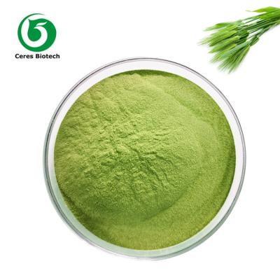China Natuurlijk de Gerstgras Juice Powder Food Supplement van het Installatieuittreksel Te koop
