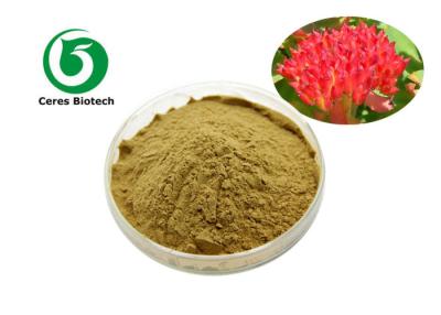 Chine Salidroside Rosavins poudre d'extrait de plantes pour la santé et le bien-être à vendre