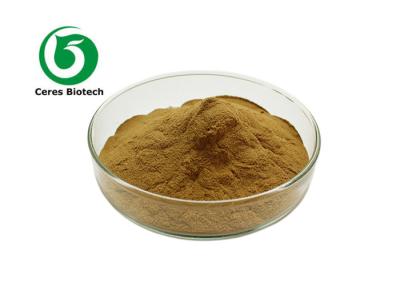Chine Natural Herbal Extract Powder Huperzia Serrata Extract Huperzine A à vendre