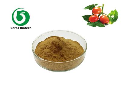 Chine Poudre de fines herbes naturelle pure d'extrait du cynorrhodon 5%VC avec la fonction d'antioxydation à vendre